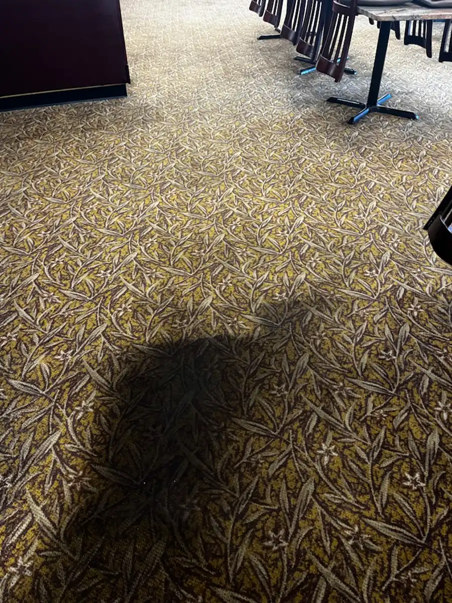 Arc Carpet Cleaning Gallery