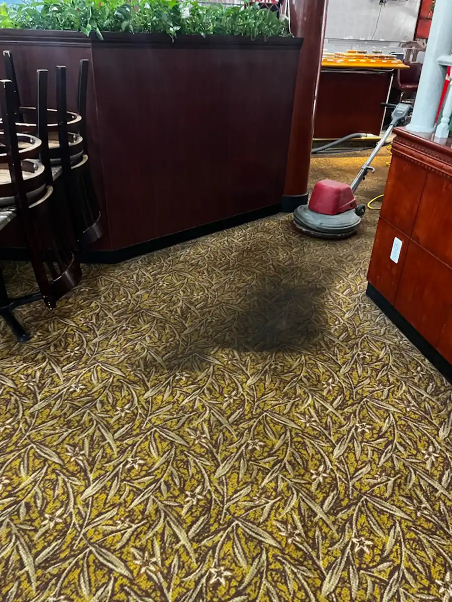 Arc Commercial Carpet Cleaning Gallery