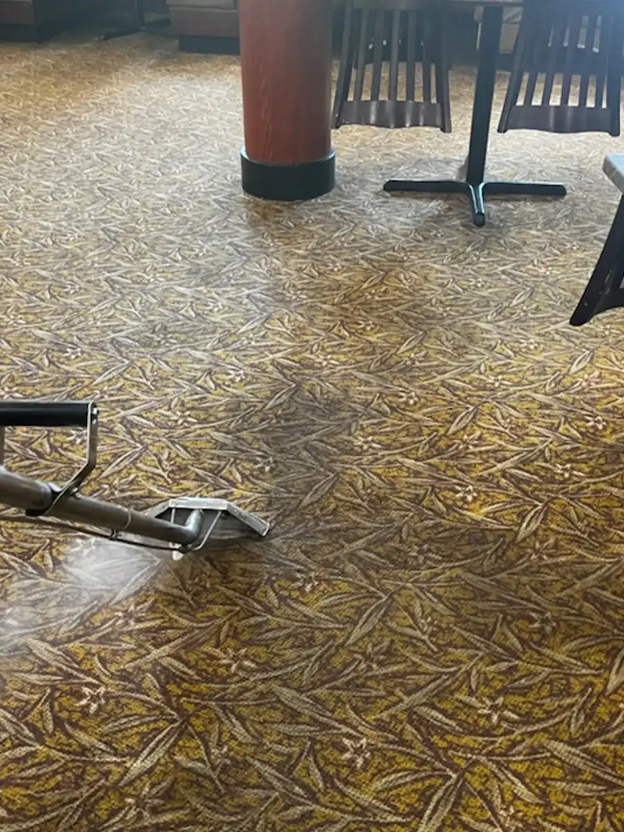 Arc Commercial Carpet Cleaning service Gallery