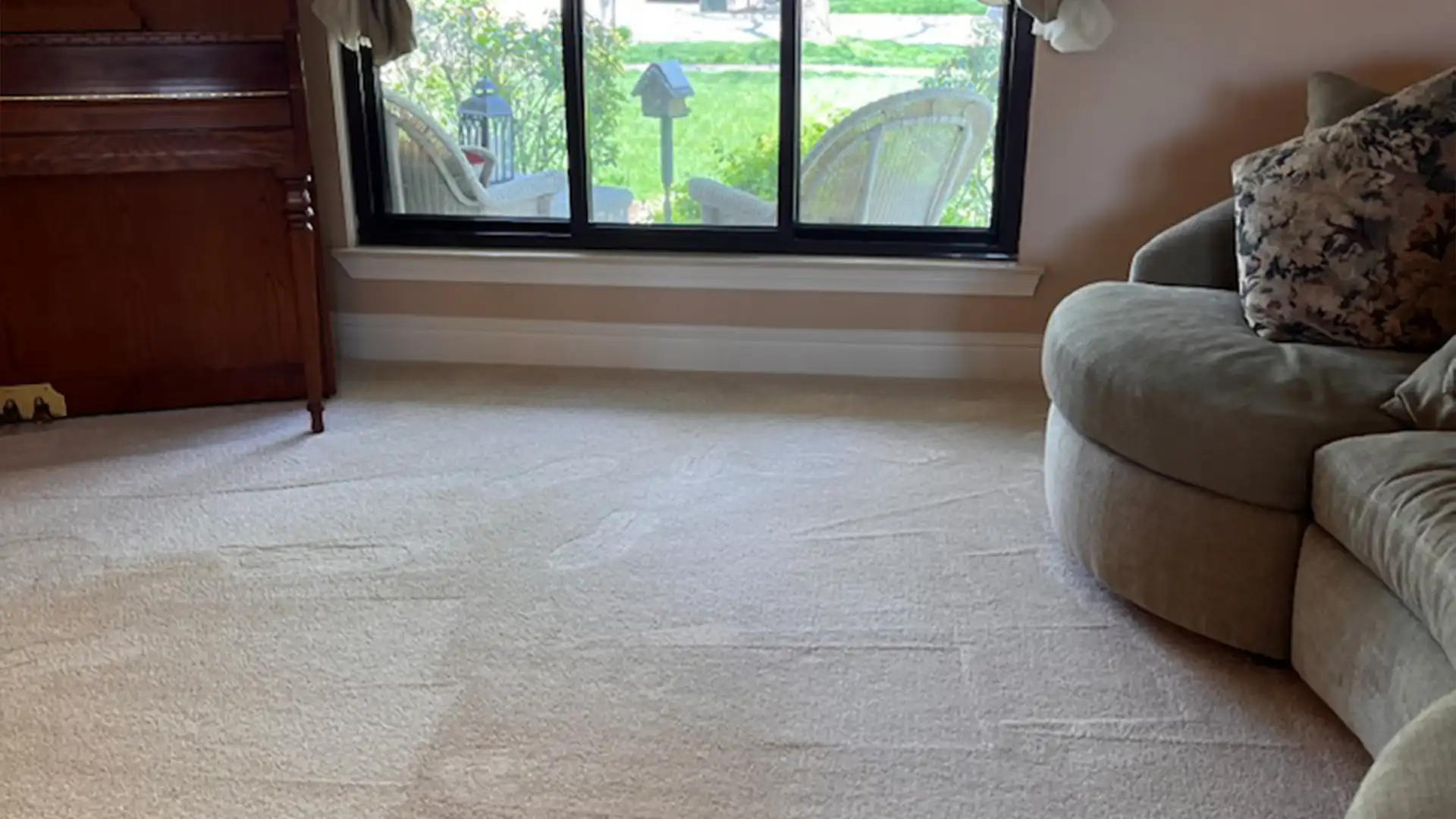 Arc Professional Carpet Cleaning