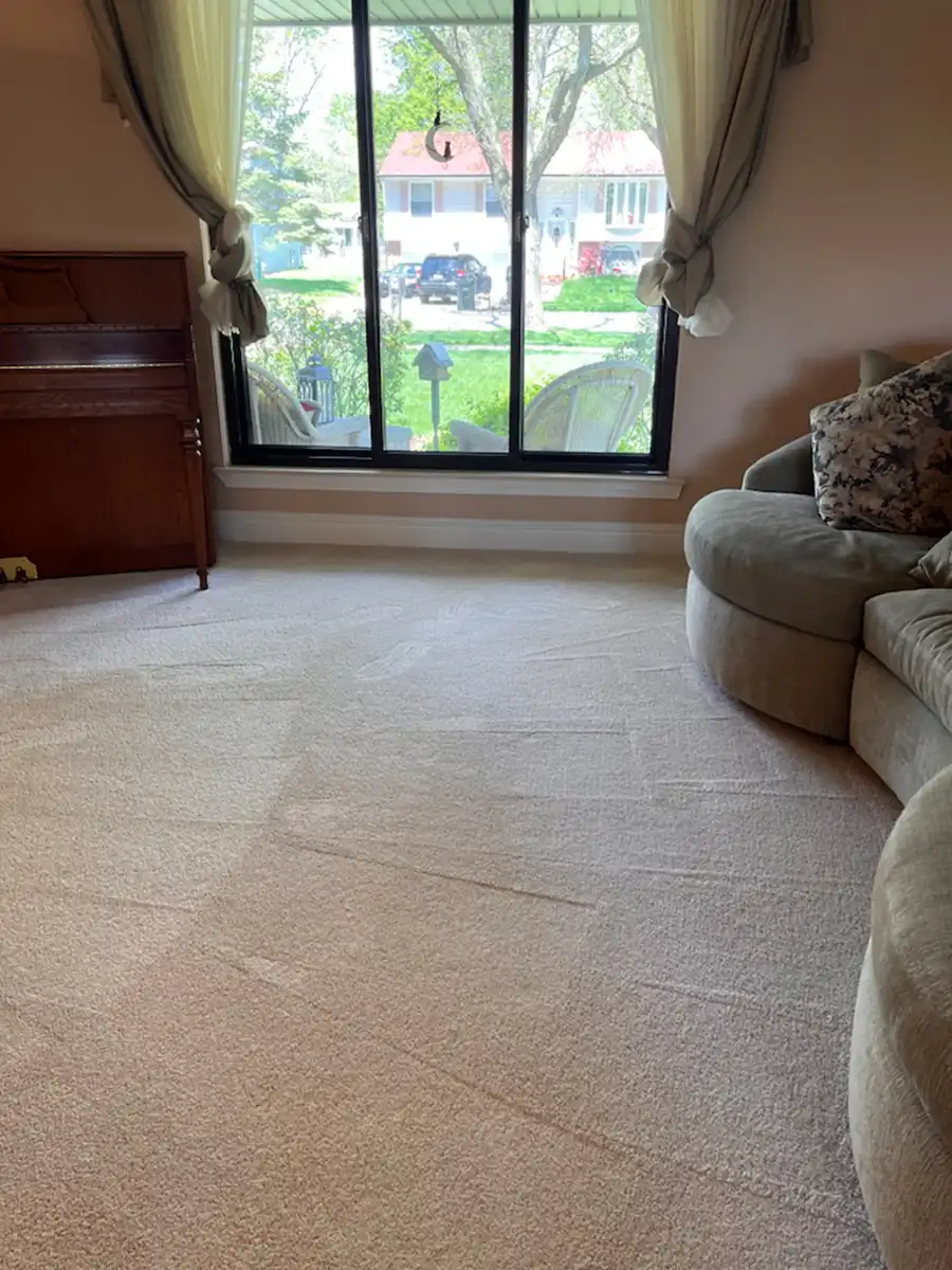 Arc Professional Residential Carpet Cleaning Gallery